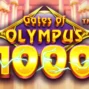 Gates of Olympus 1000